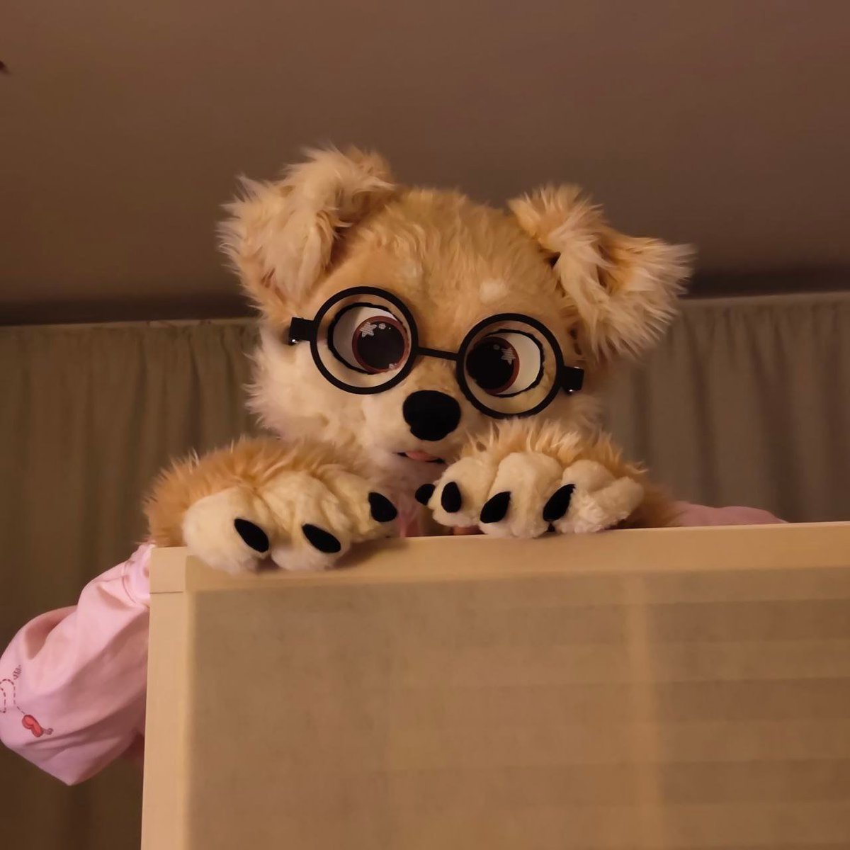 Acronium tweet media