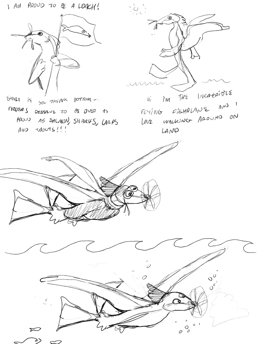 My flying fish 'furry'