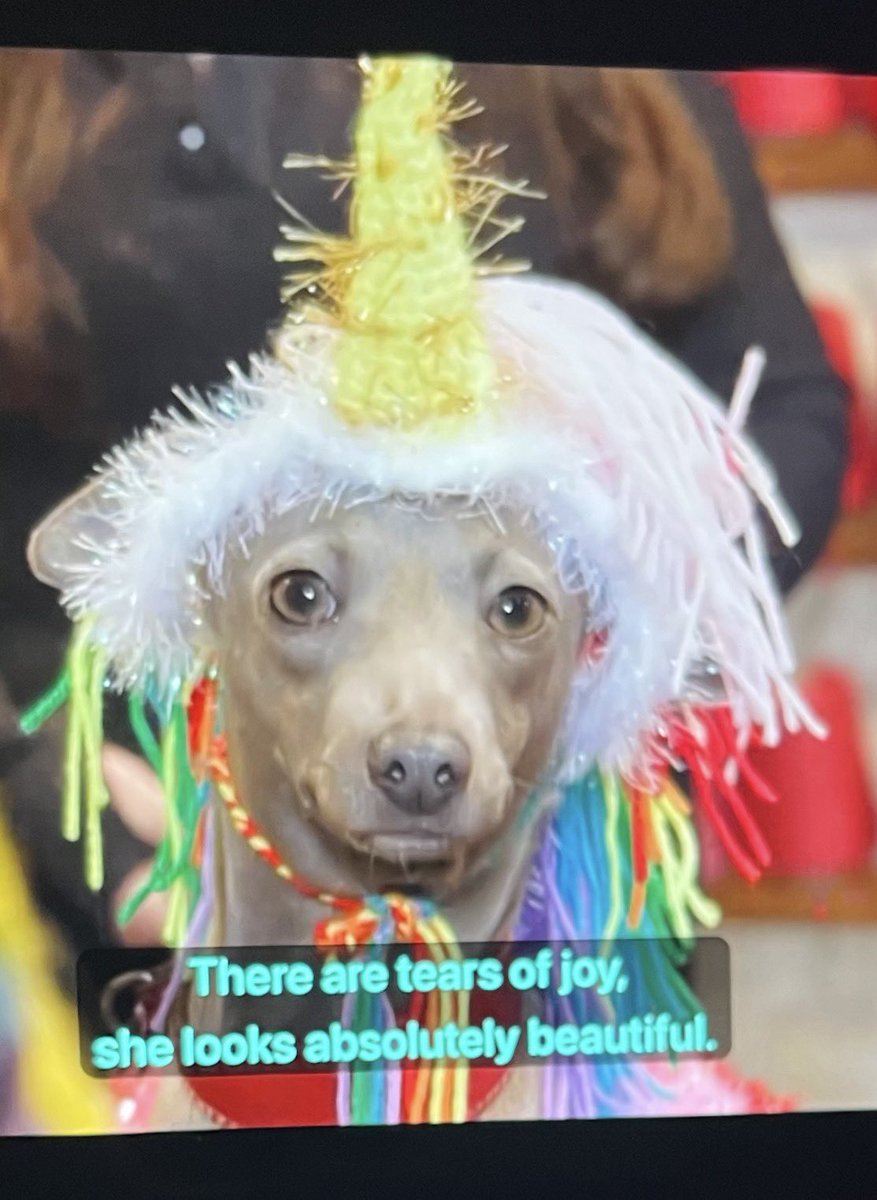 quelle joie ce pays 💕💕💕