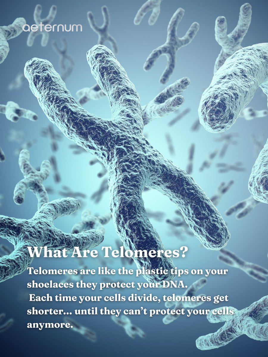 aeternumcompany's tweet image. 🥤 Soda may speed up aging by shortening your DNA telomeres ⏳. Swap sugary drinks for green tea or infused water. 💡 Follow us &amp;amp; visit our site for longevity tips! #BiohackingHealth #HealthyAging