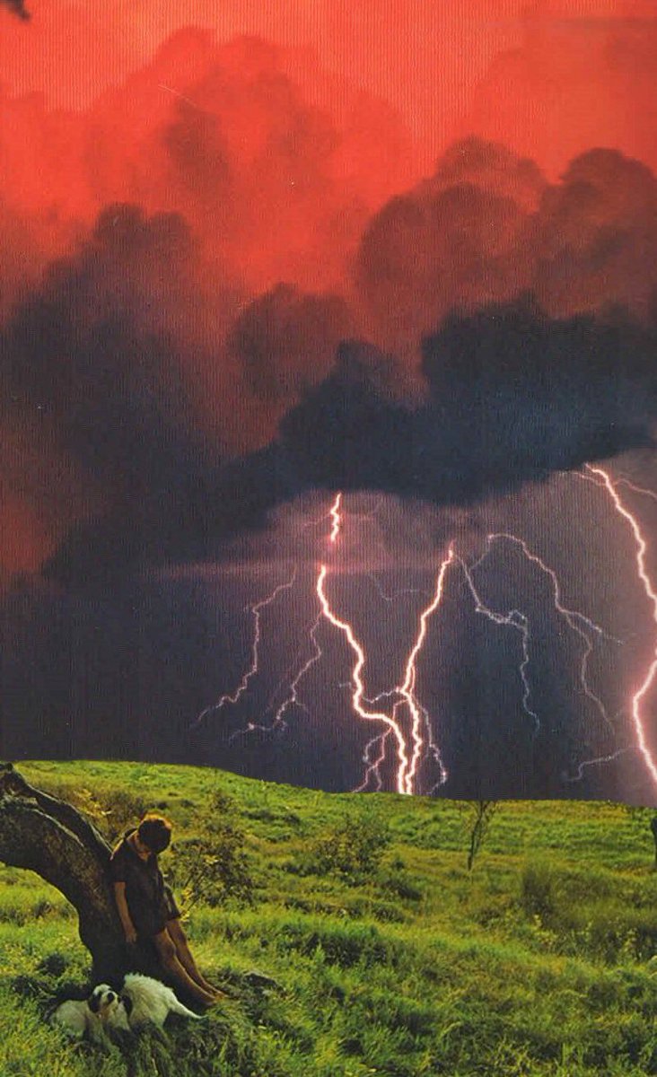 Oaknarrow's tweet image. Collage art