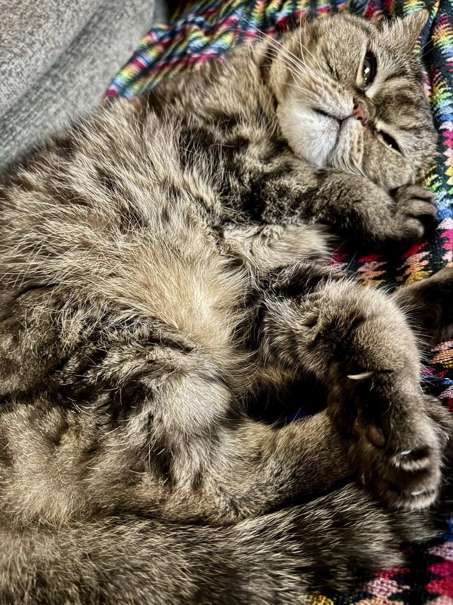 Выключай телефон, на работу завтра!