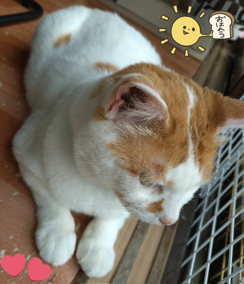 みぃ~💗【❀低浮上中❀】 on X