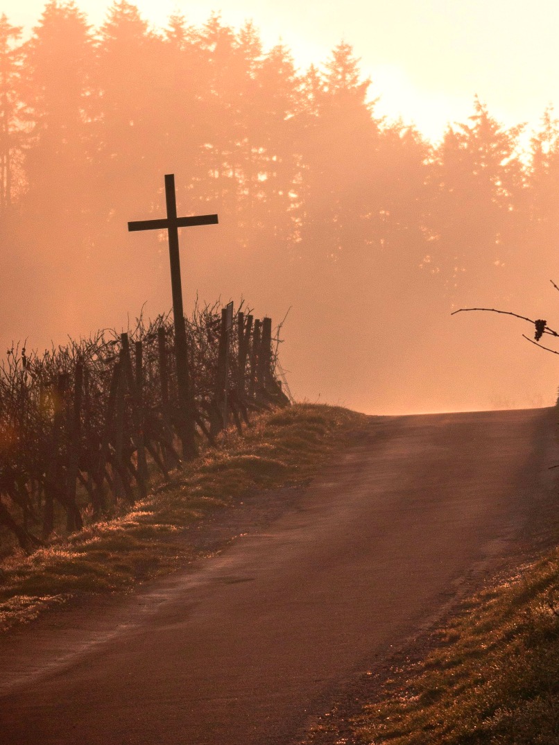 For I know the plans that I have for you,’ declares the LORD, ‘plans for prosperity and not for disaster, to give you a future and a hope. ~ Jeremiah 29:11 (NASB)