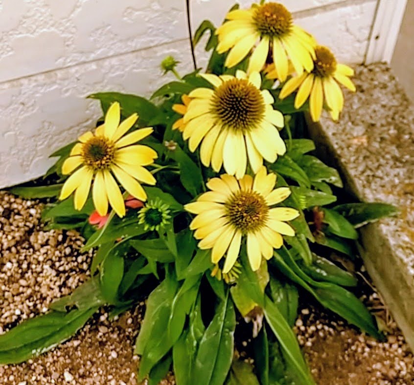 空の色 (@WvTFT90MRIIoBwC) / Posts / X