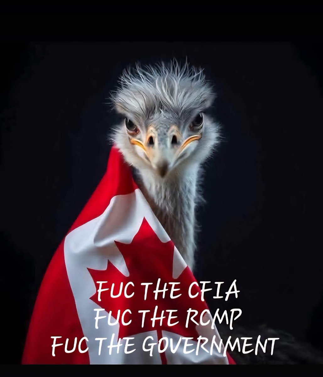 Savage (@savage16may) on Twitter photo 