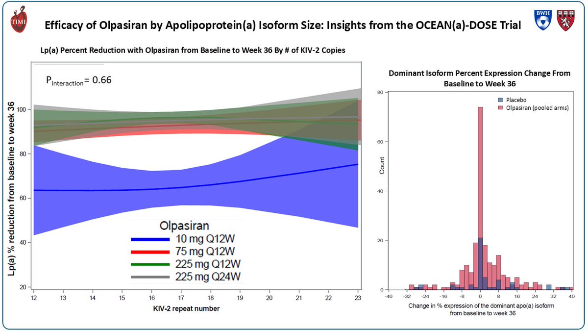 TIMIStudyGroup's tweet image. New data from the OCEAN(a) DOSE - TIMI 67 trial indicates that siRNA #olpasiran reduces Lp(a) irrespective of apo(a) isoform size and affects both isoforms equally. @DrM_ODonoghue  #AHA25
