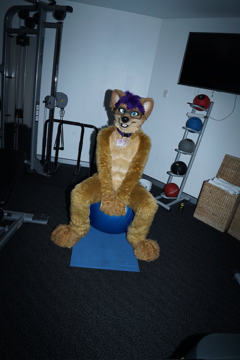 Kal Dingo tweet media