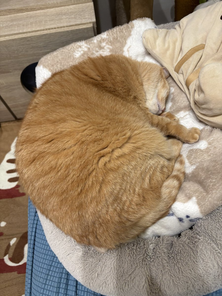 ファントム on X