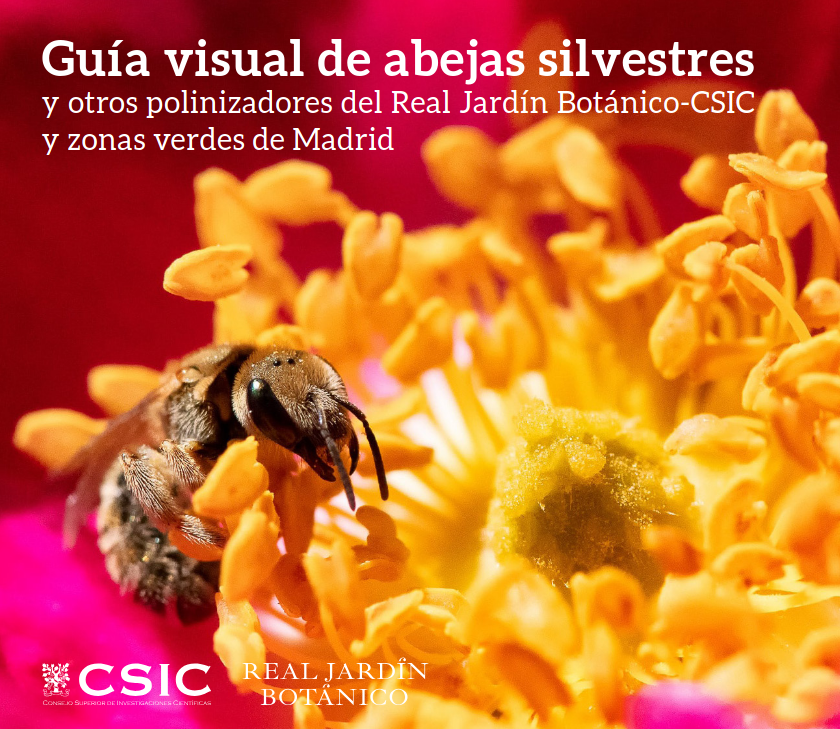 Javier Martín tweet media