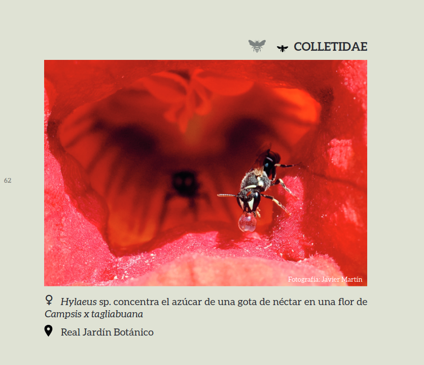 Javier Martín tweet media