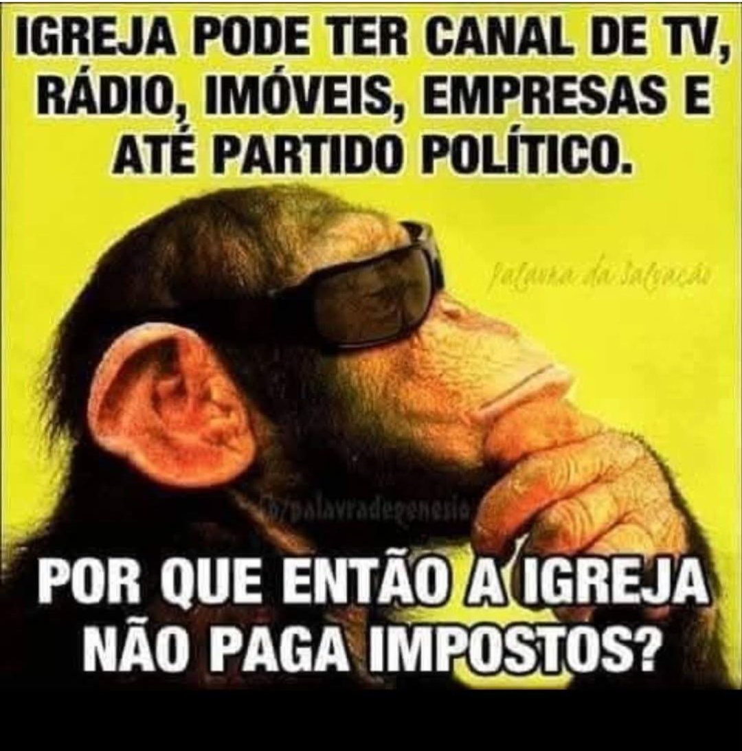 Antonio Cappellari VERGONHA (@cappellarianton) on Twitter photo 