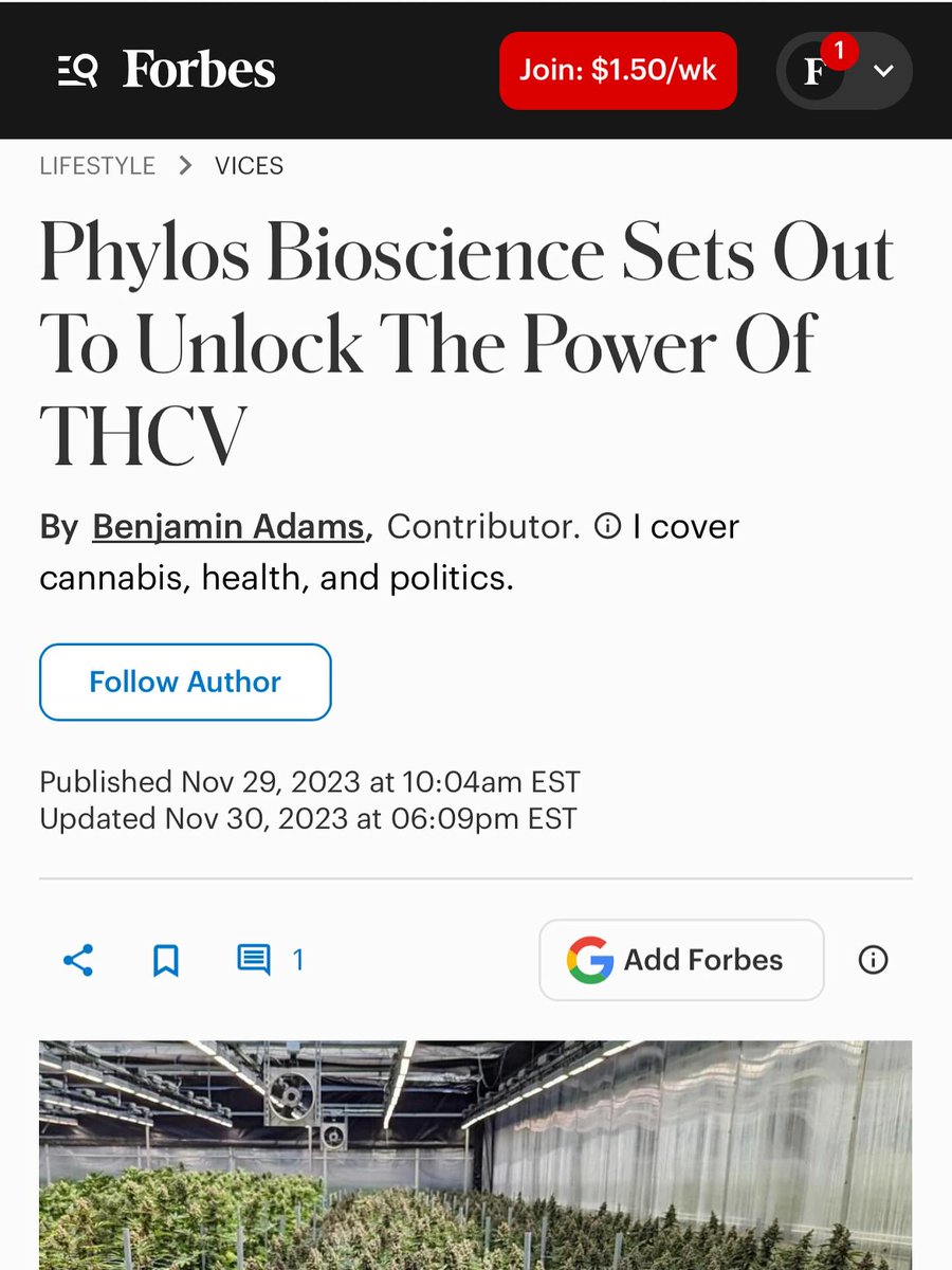 Activethcv's tweet image. Active Performance Gummies are powered by Forbes-featured Phylos Bioscience — leaders in bioactive plant research.
Natural energy, metabolism, and focus — driven by science, not hype. ⚡️
#ActiveTHCv #functionalgummies #THCv