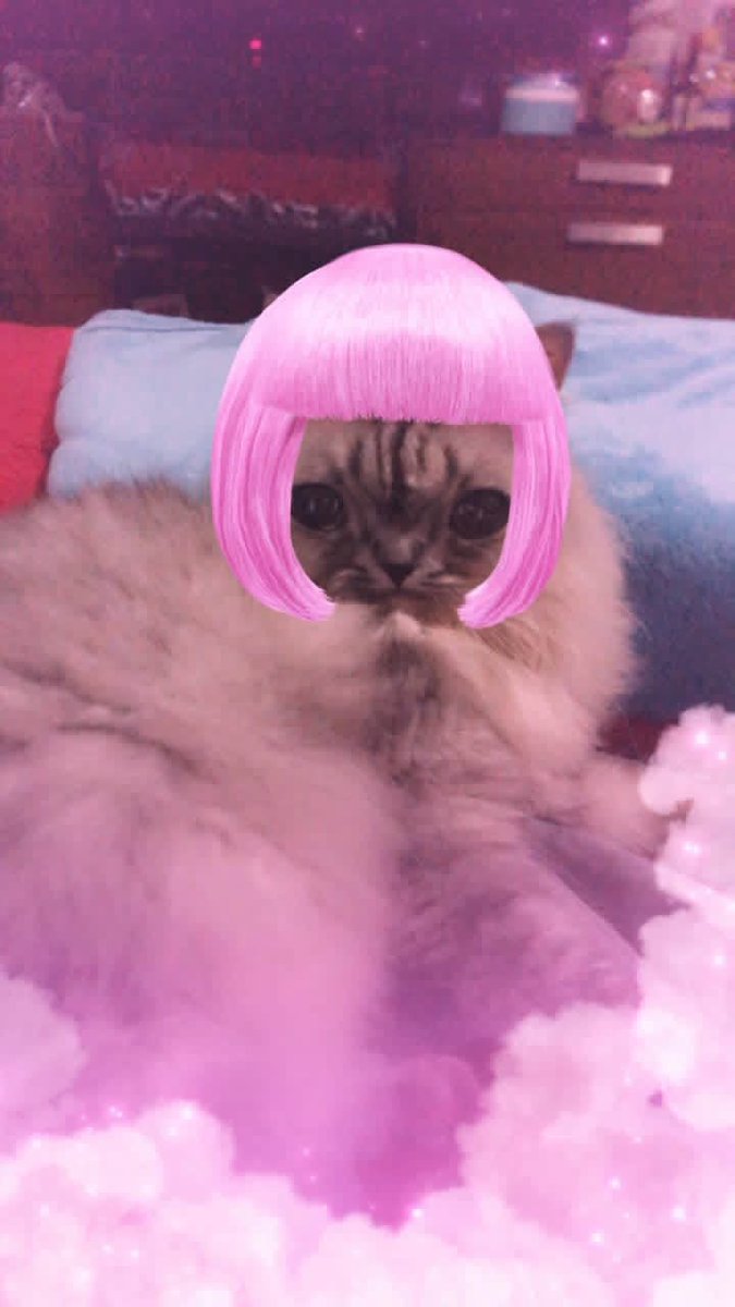 sookiplu's tweet photo. @navvyia 853626543 asia genshin

this goober’s name is efi <3 https://t.co/FMhn5btY5o