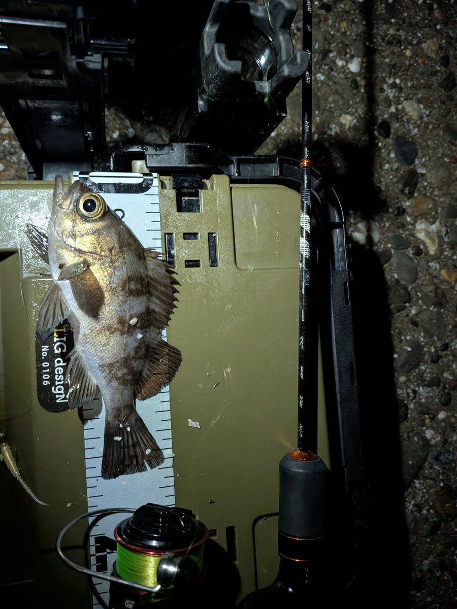 のすけ (@nosuke680) / Posts / X