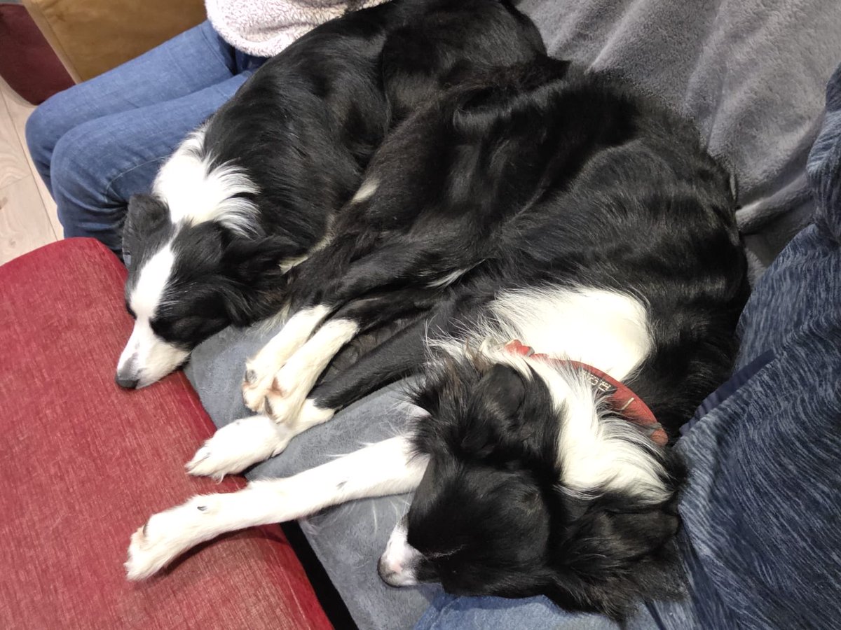 Mum’s on holiday without me 😥 
But I have luna &amp; my grandparents for cuddles &amp; all 4 of us fit on one sofa! 🥰