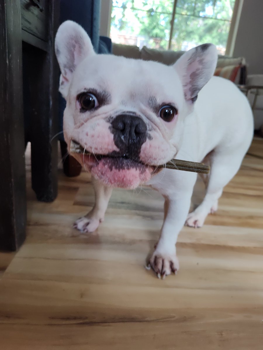 GOO GONE 🌒🌕🌘 (@tramblis) on Twitter photo 