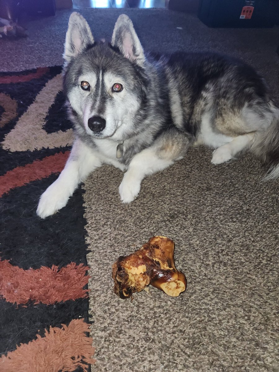 Max got a good treat for his 12th birthday