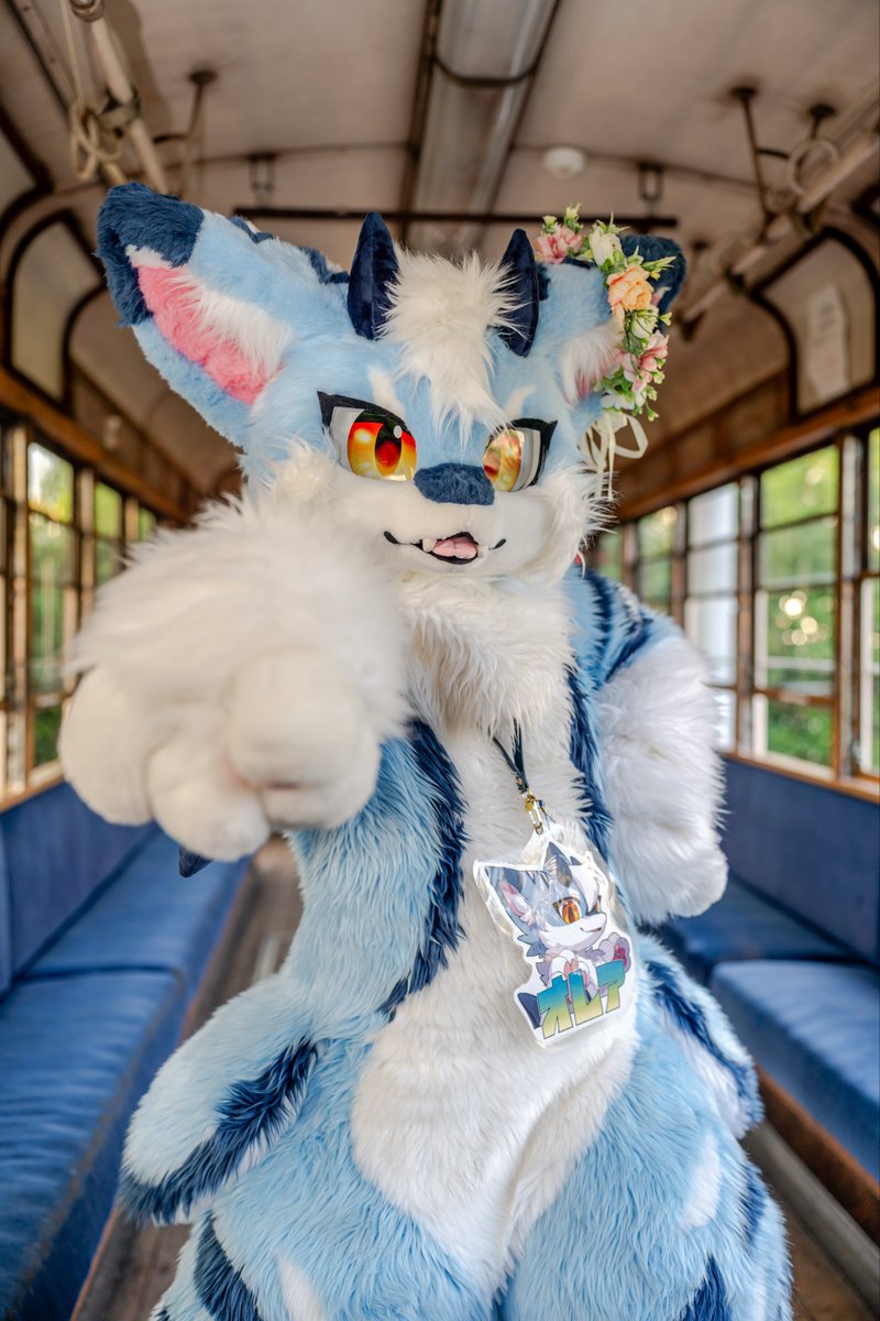 さむくなってきたね！
かぜにまけないようがんばろー！！

#ケモノをみて今週もがんばりマンデー