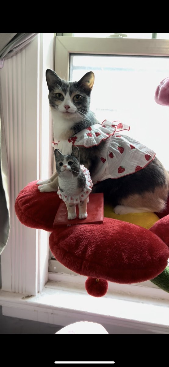 I AM SCREAMING SO MUCH RIGHT NOW LOOK AT HER