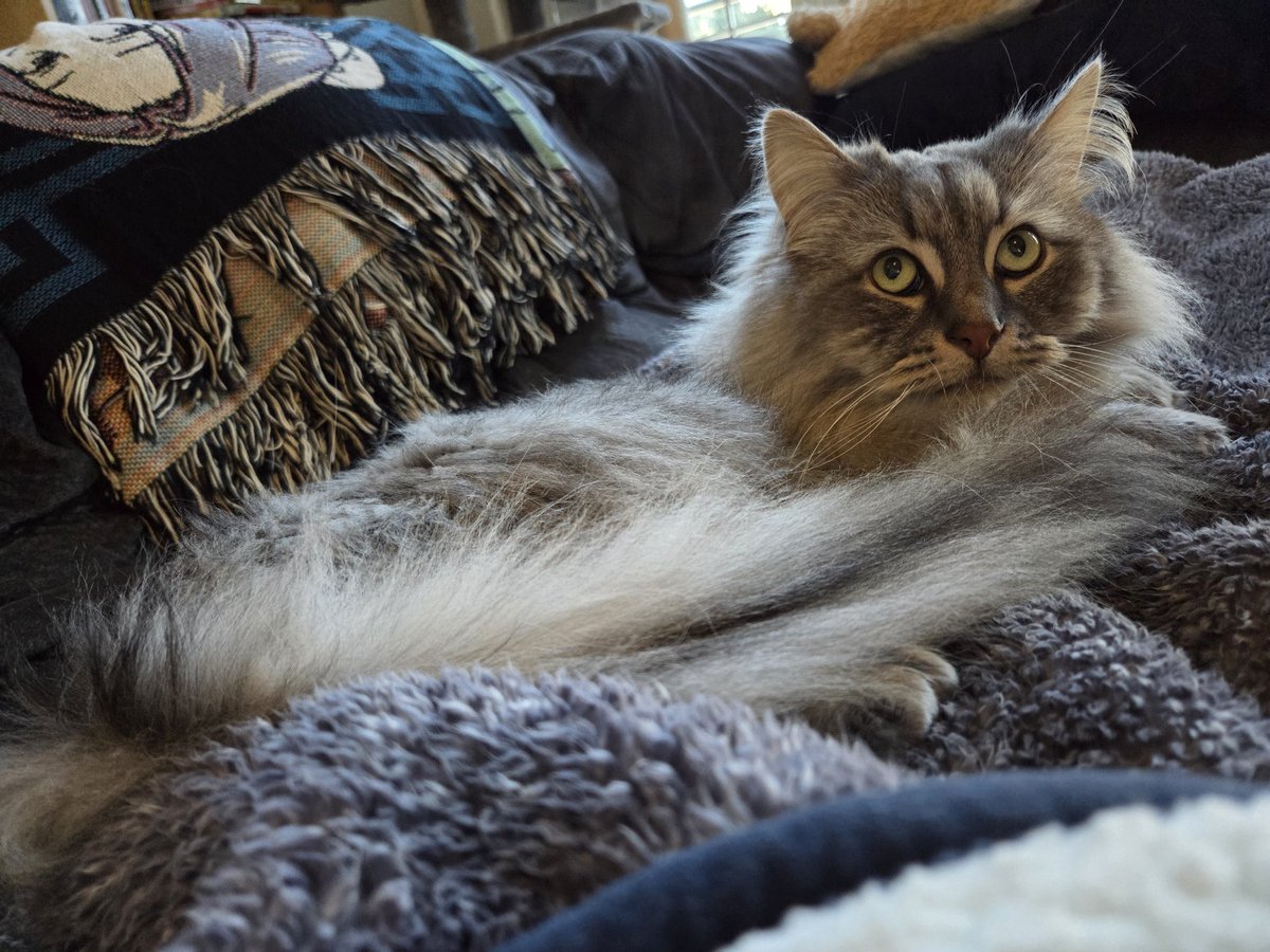 Back home with the boy and he's eating normally again! Grandma took very good care of him 💕