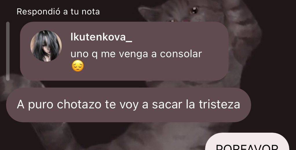 ay dios q desubicados los q me contestan en ig