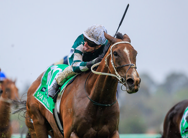 Giddy Up With Gareth Hall tweet media