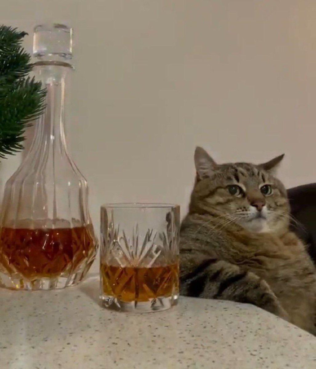 TacoJK_'s tweet photo. https://t.co/gGcPoFMXWy