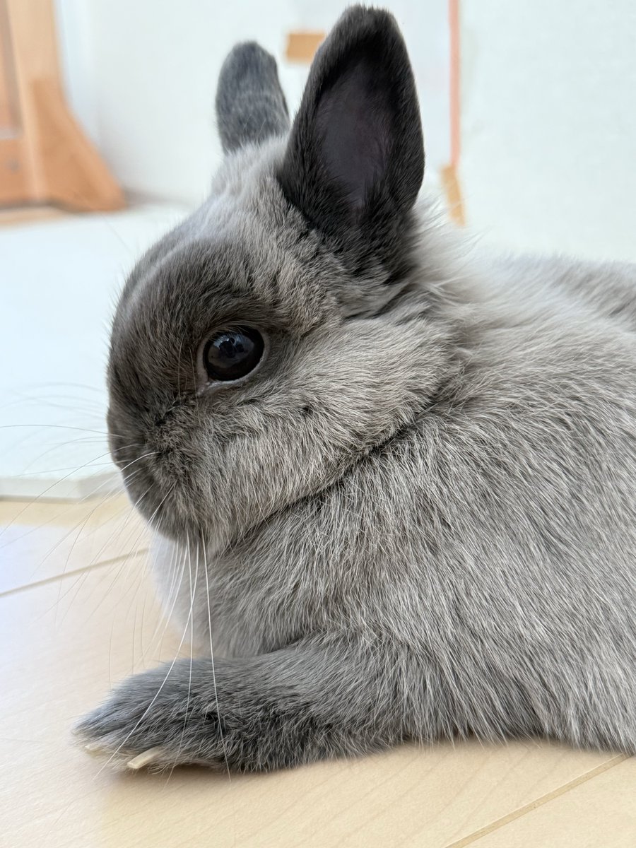 まるちゃん on X