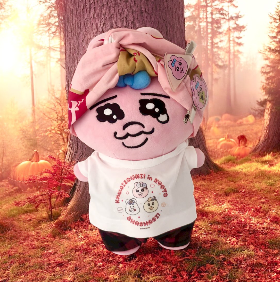 おぱ (@opaopa_a25) / Posts / X