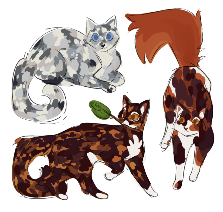 dozakeet 🌿 Commissions open! 🐞 tweet media