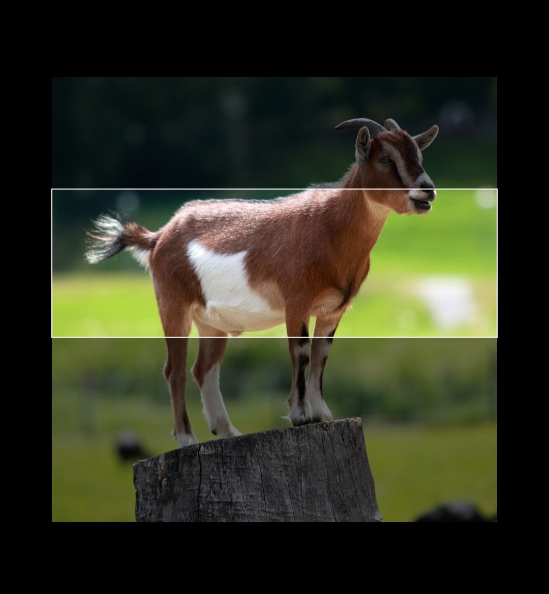 how do i fit this in my banner?