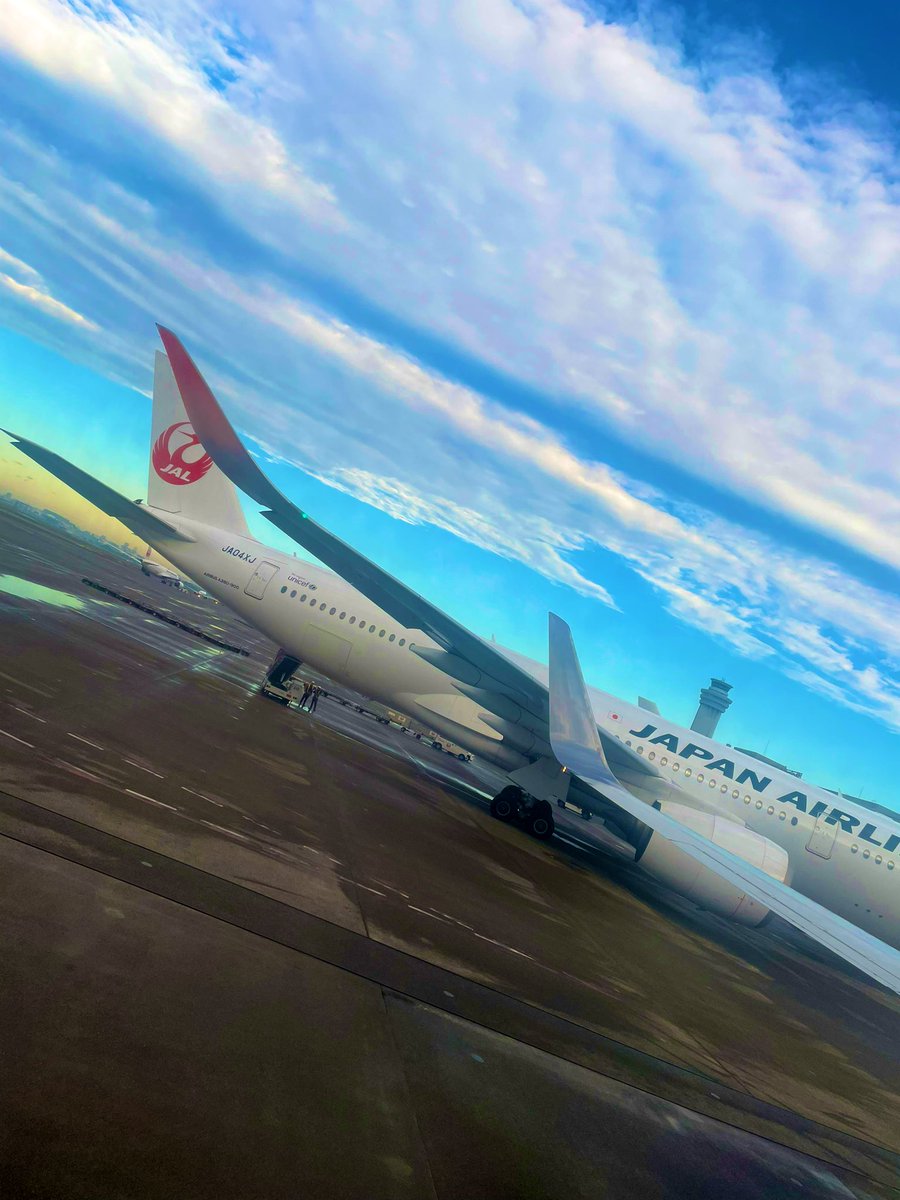 今日から2週間ほど、
クリエーションをしに香川の
瀬戸内サーカスファクトリーさんに🎪

またうどん食べれる。
行ってきまーす✈️✨