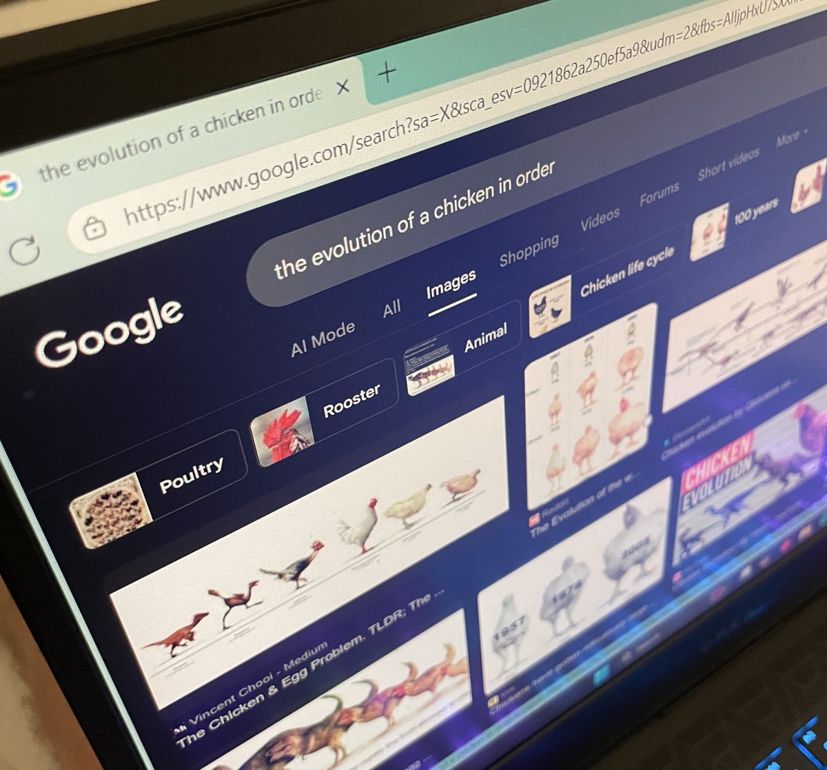 Ronan was quiet for ages and I wandered over to see what he was looking at and…