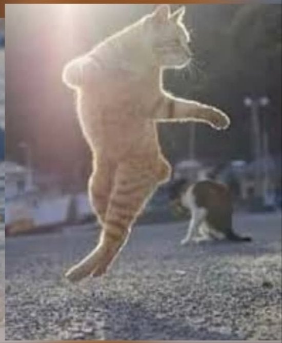 rashford                        lewandowski