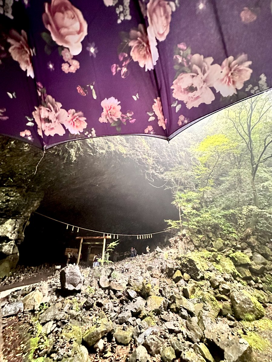 Ajfo98Sh's tweet image. あめあめ☔️ふれふれ母さんが〜

車中泊2日目
雨でしたが、Power✨ありがとう😊
見えますか？見えますよ

省吾さん💕のLIVEは最前列かな😎
と感じながら参道を歩かせて頂く

心高鳴る自分が嬉しくて、、

あっ！高千穂の回転饅頭🌰味👍

#浜田省吾 
#高千穂神社 
#天岩戸神社
 #フルトン
#感謝