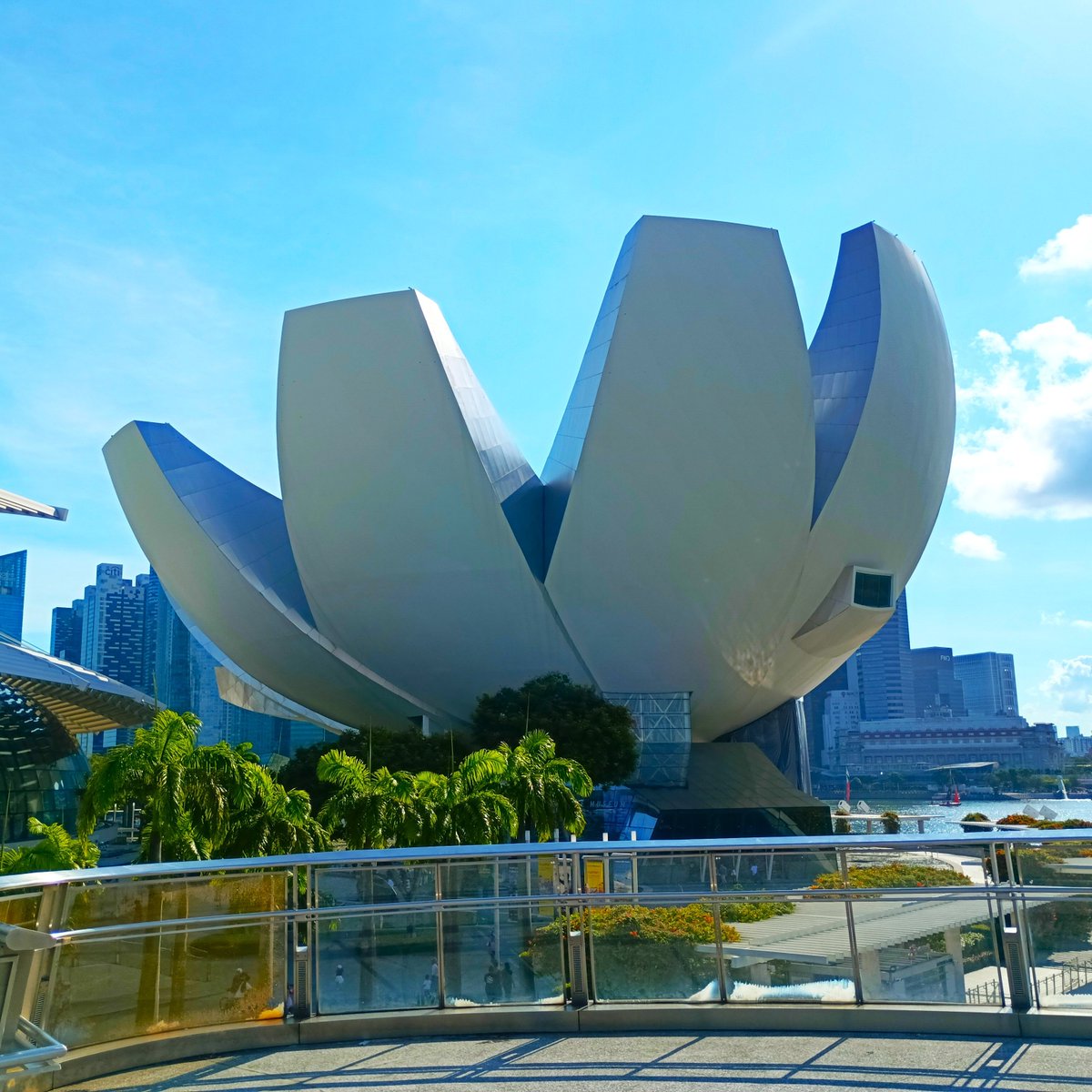 kwassuidesign's tweet photo. 生活デザイン研修(シンガポール)で見た建築紹介　～アートサイエンスミュージアム～
#CG #Web #情報 #建築 #一級建築士 #二級建築士 #CAD #グラフィックデザイン #デザイン #プロダクト #ファッション #インテリア #アート #活水女子大学 #長崎 #建築巡り #シンガポール #アートサイエンスミュージアム https://t.co/PtCFVwwxXP