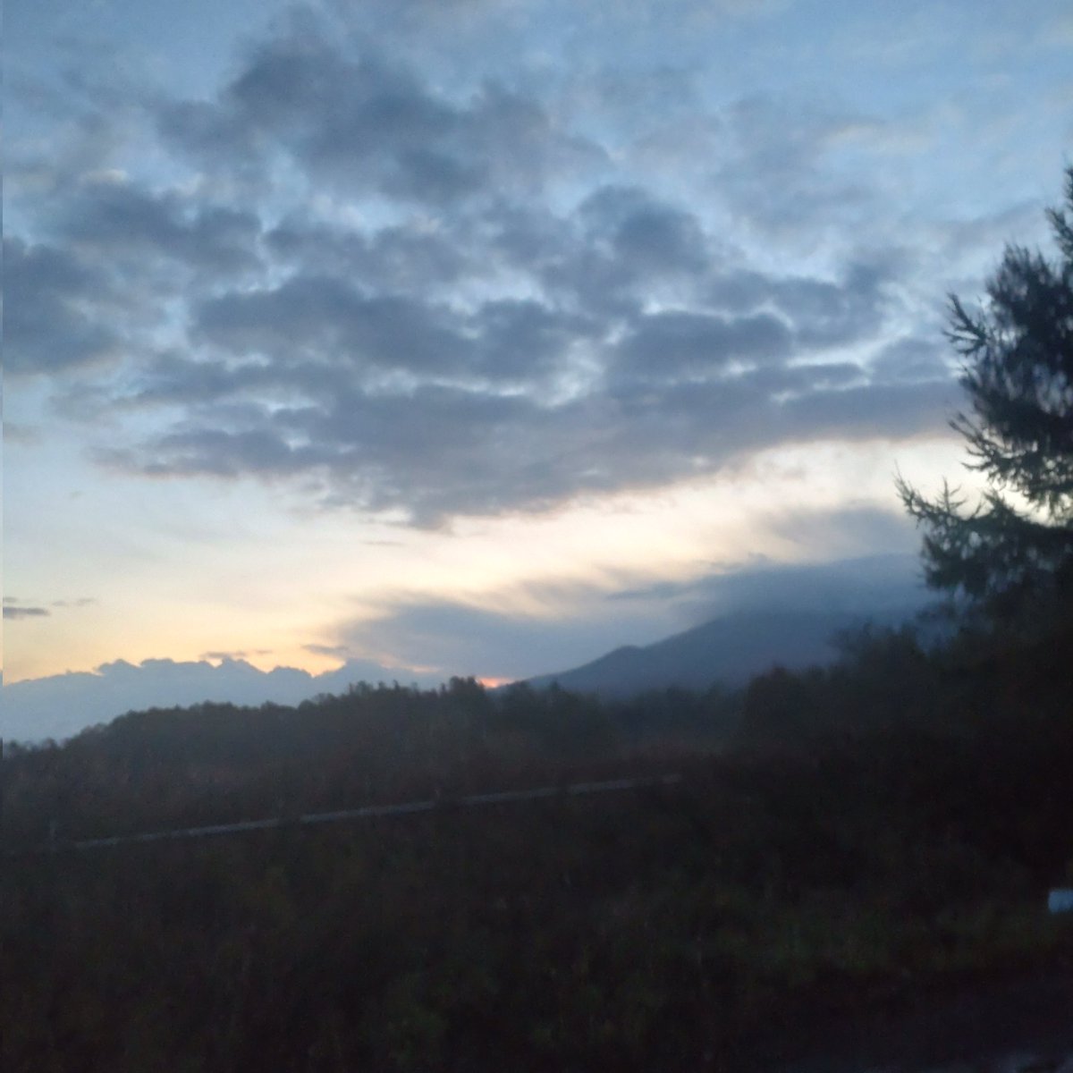 帽子屋◯一 on X