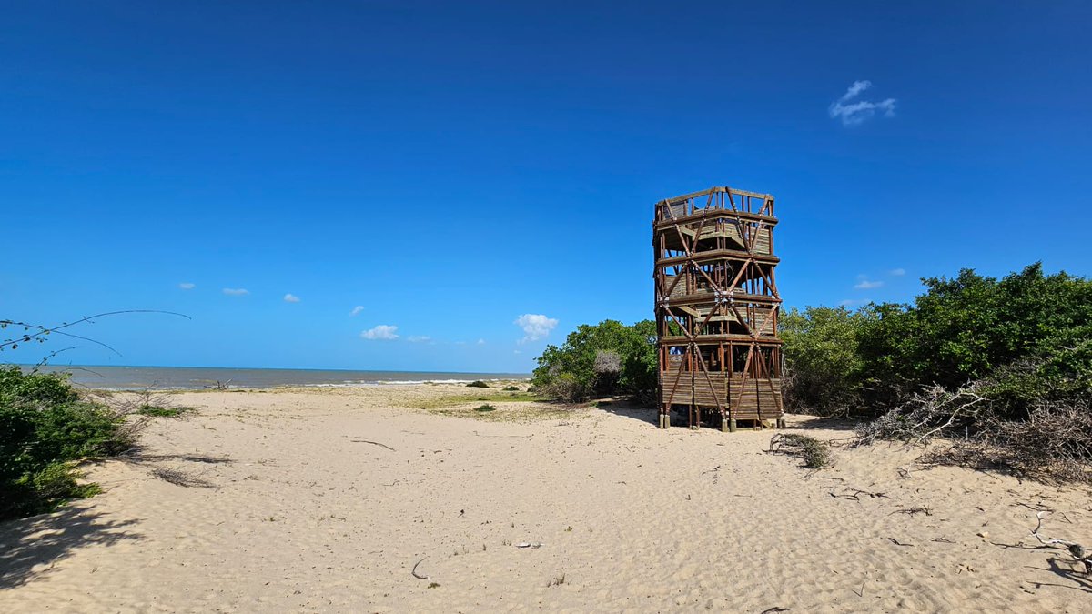 HamiBarrios's tweet photo. El grupo de infraestructura de Parques Nacionales realiza obras  increíbles por todo el país para fortalecer la gestión de la conservación de los ecosistemas y la experiencia de visita ecoturística. Diseñan y construyen desde nidos para tortugas hasta muelles y auditorios. https://t.co/XD5k7JlQ4D