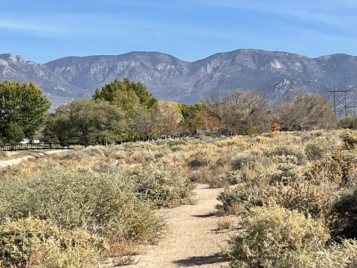 Howtobefit's tweet image. I love running in the Rio Grande Valley, but when I run east from home, I always have views of the ever-changing Sandia Mountains in all of their splendor.