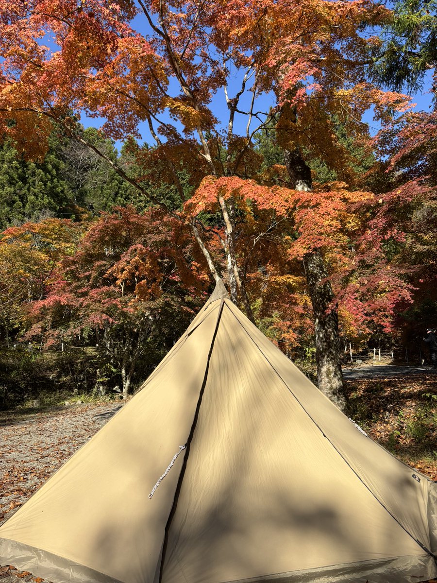 今日もお仕事頑張るぞー😤
毎日クタクタだけど先日の晴天キャンプを振り返りながら踏ん張る