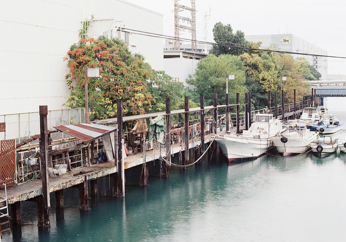 paruko_film's tweet photo. おはようございます。
昨日久しぶりのフィルムさんぽに参加して、起きたら結構な筋肉痛😂
少し雨降ったけど、常用フィルムの色味の違いを勉強できたりして楽しかったです。
#フィルムさんぽ
#Proimage100 https://t.co/VpsnTJQyN6