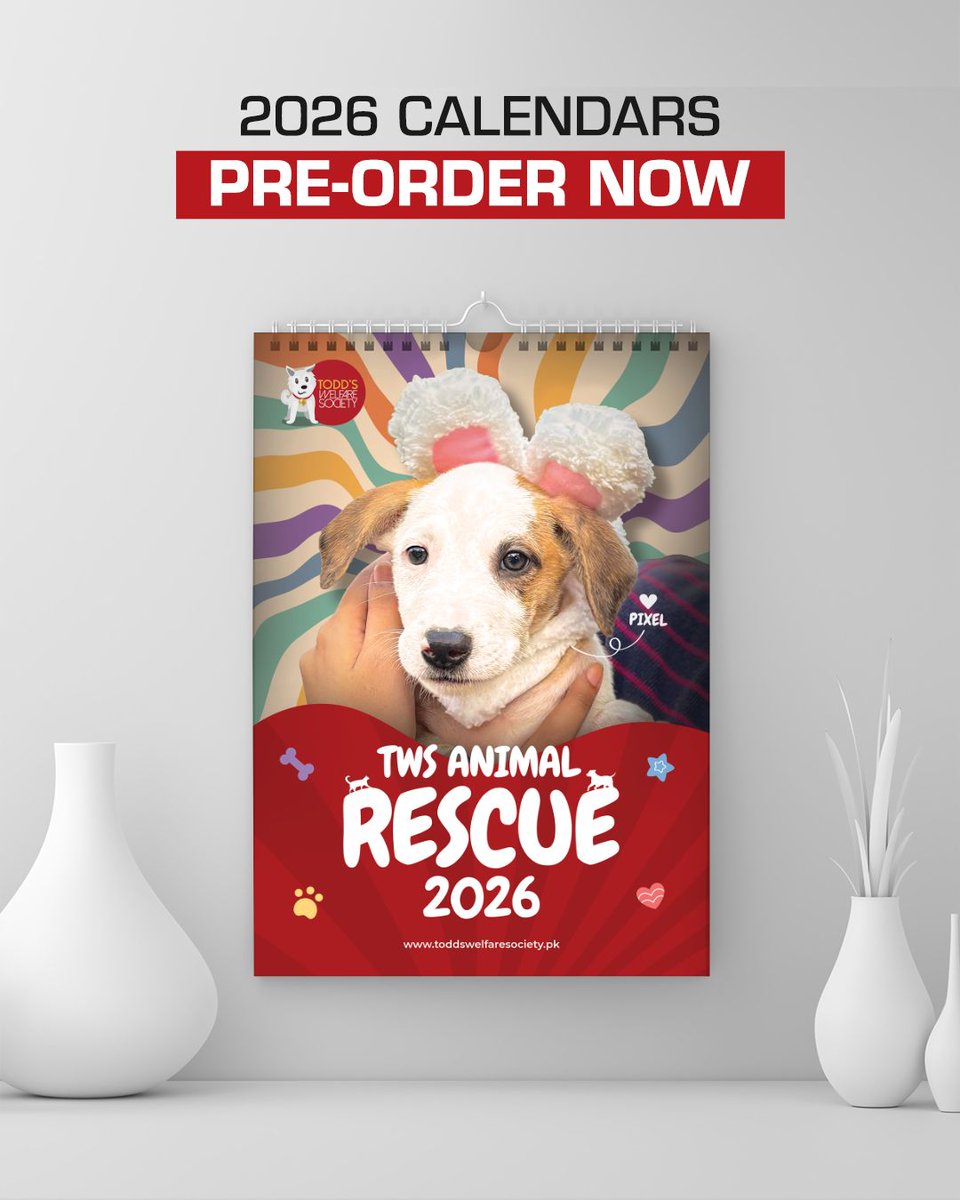 tws_pk2's tweet image. Tinku has one special favour and that is will you please purchase a calendar 🙏🏼. All proceeds go towards our rescues and it will mean keeping Tinku safe. They are £13.50 for UK and £17.00 for US. 
PayPal: paypal.me/twsociety
Please add your postal address