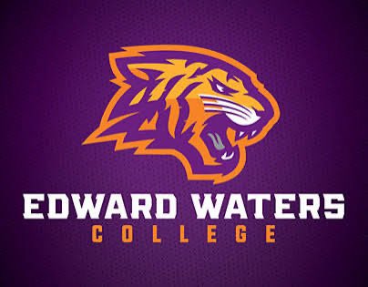 David Jester1 tweet media