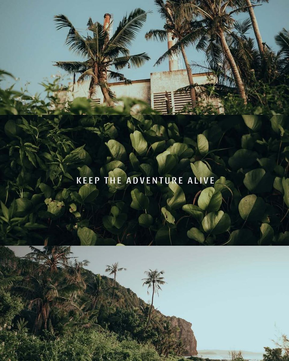 TheGuamGuide's tweet image. Keep the adventure alive...how do you do it?

📹: @guamescape 

#guam #guamguide #nature # adventure #escapeguam #theguamguide #guahan #beauty