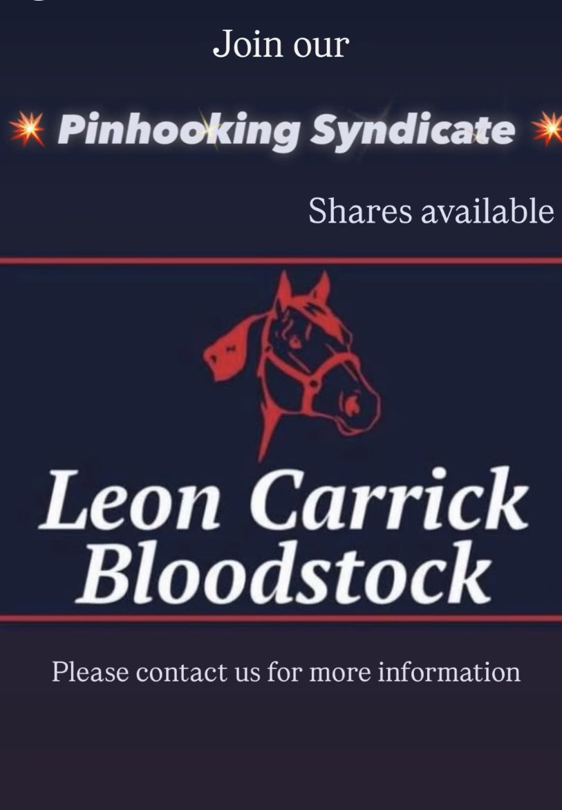LeonCarrick's tweet photo. With the Goffs and Tattersalls Foal Sales just over a week away now is your chance to get involved…

Contact us for more information https://t.co/bXaaAYLBD2