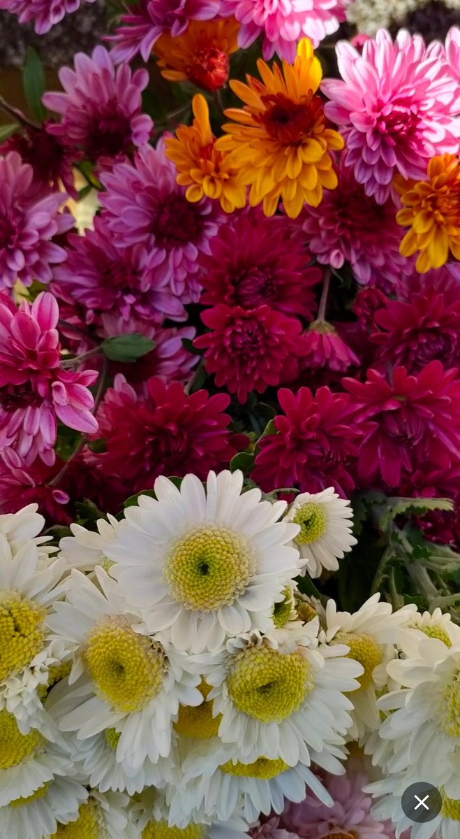 ゴンさま 専用ページ❁⃘*.゜ 奈良 🦌