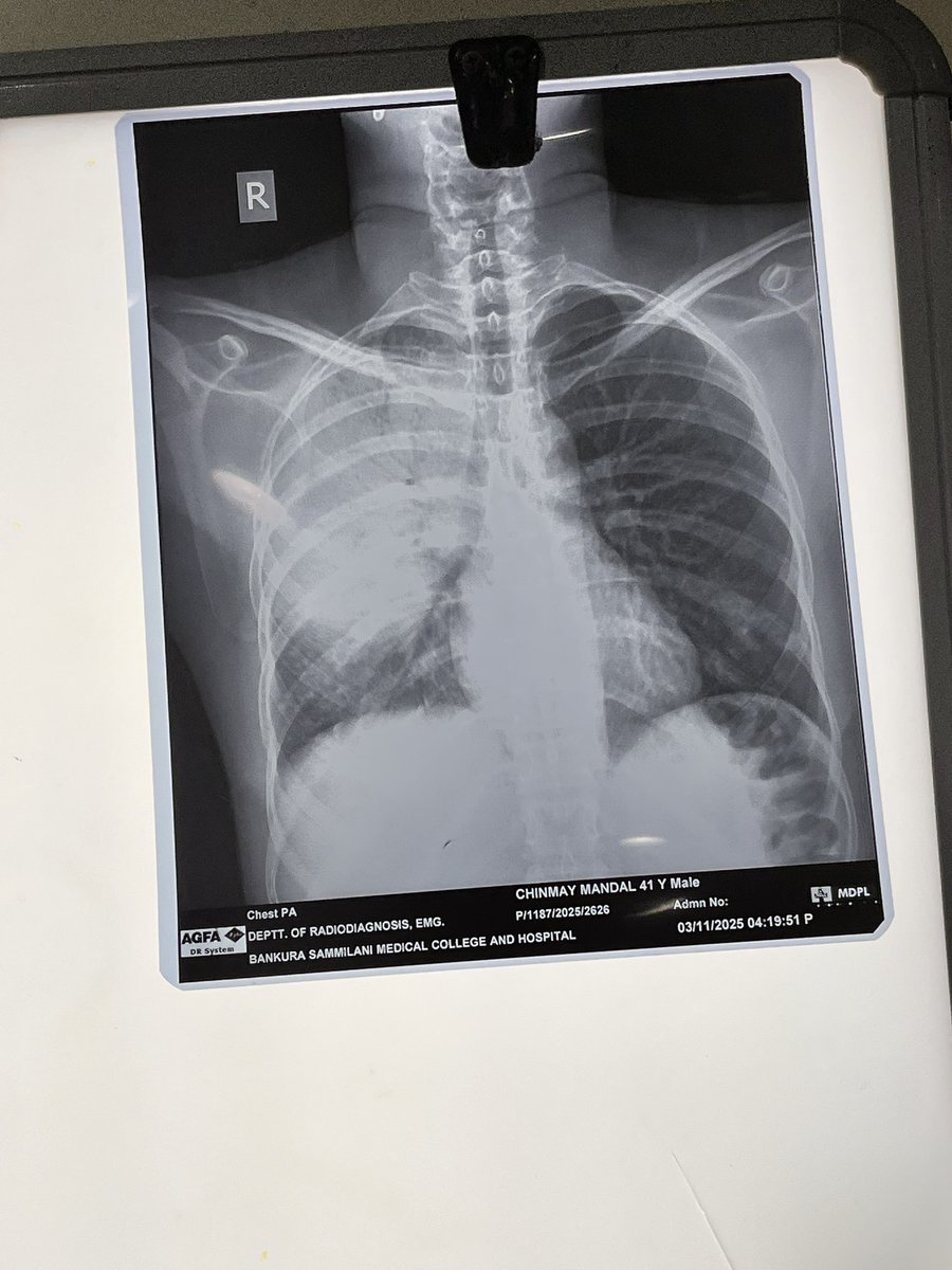 doolsetstudy's tweet image. six months of internship just went by like nothing man.. wdym ive only six more months and ill be graduating 🫠