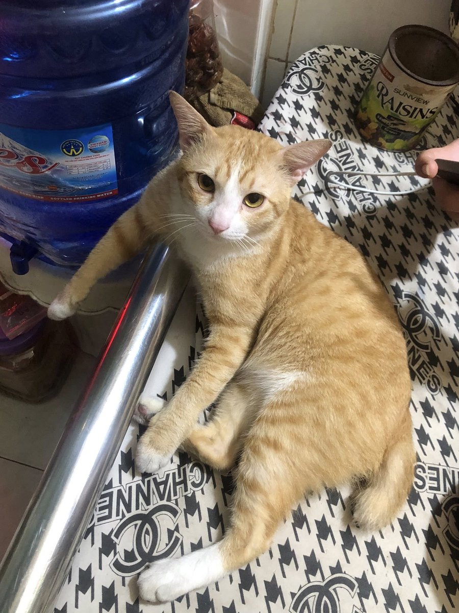 cook_arthu14817's tweet image. حتى عندما تقصر الأرقام ، فإن إيماني في مستقبل أفضل يدعم #BlockChainvision