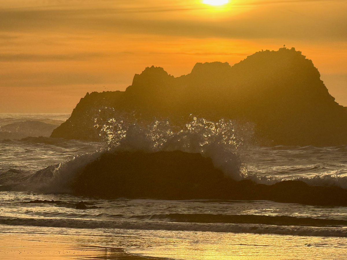 eric_j_NGS's tweet photo. The Oregon coast never disappoints. https://t.co/ljqJ4vlEC0